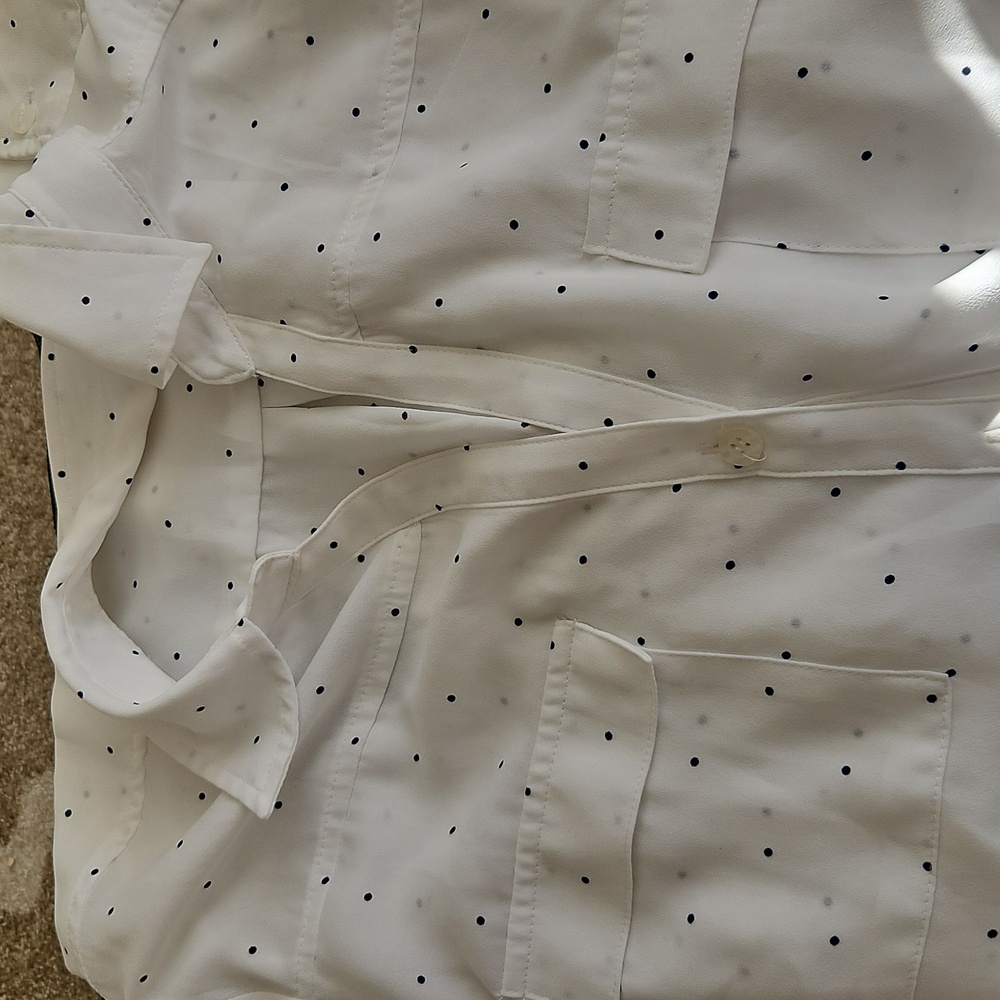 Long sleeve Sheer button down polka dot blouse
